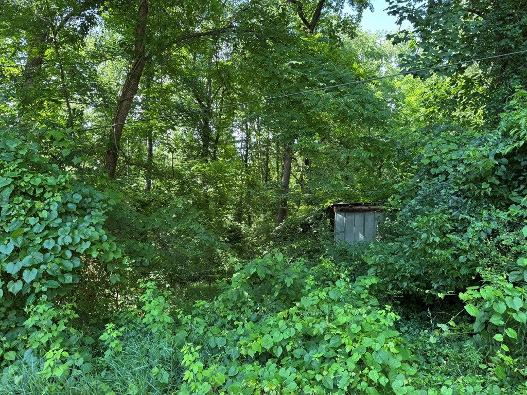 Photo of 0 Arlington Extension, Bryson City, NC 28713 (MLS # 26047576)