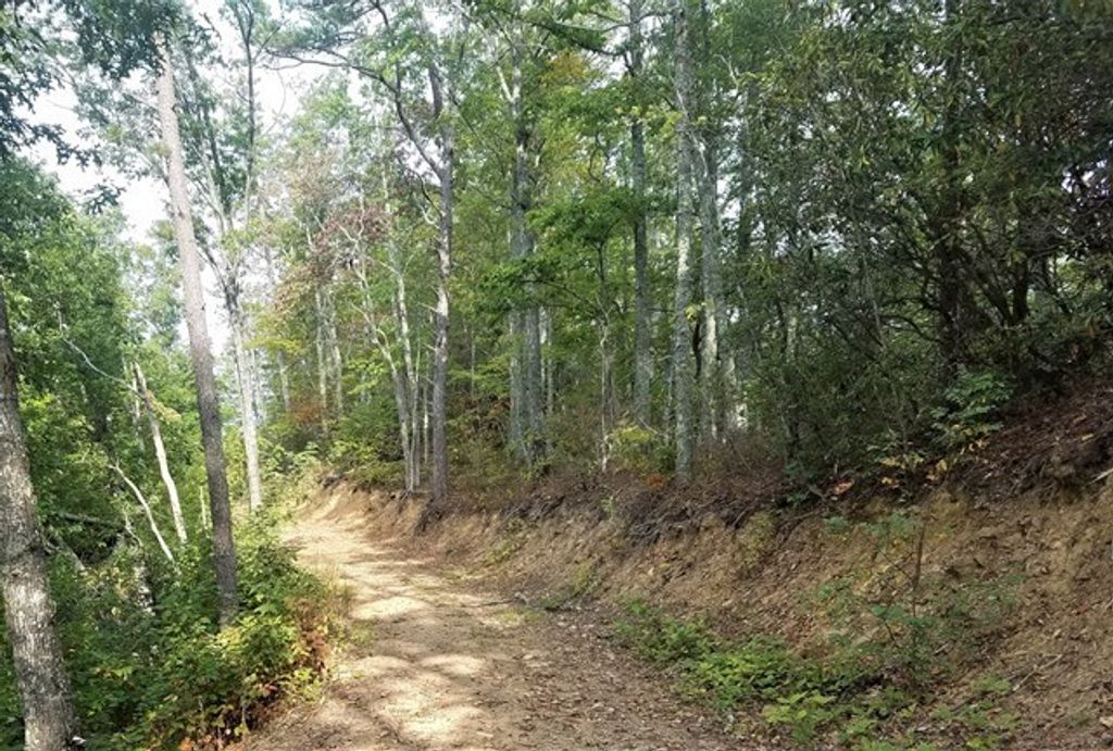 Photo of 3995 Conley's Creek Road, Whittier, NC 28789 (MLS # 26039830)