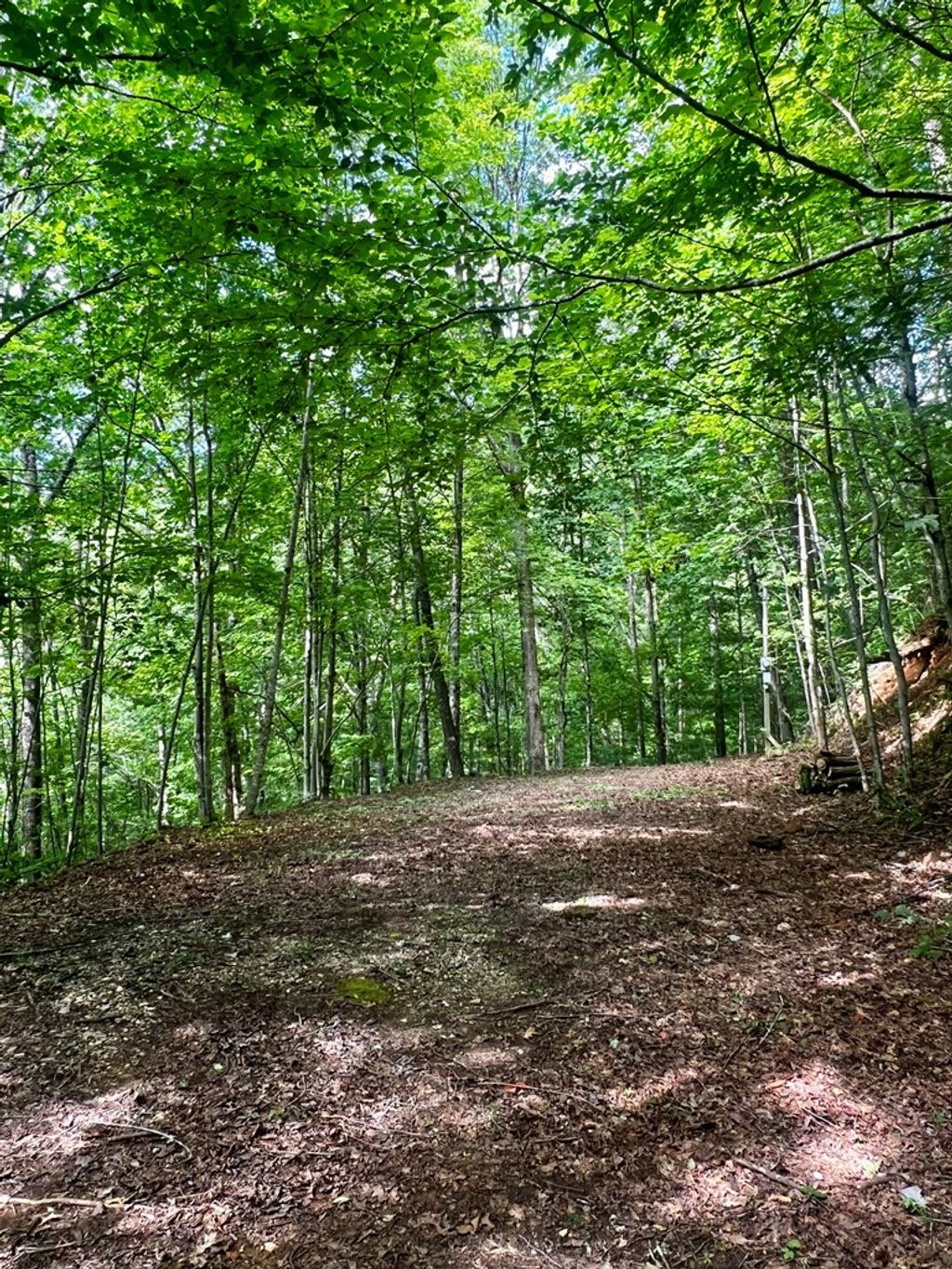 Photo of 27B Overlook Drive, Robbinsville (Graham), NC 28771 (MLS # 26045321)