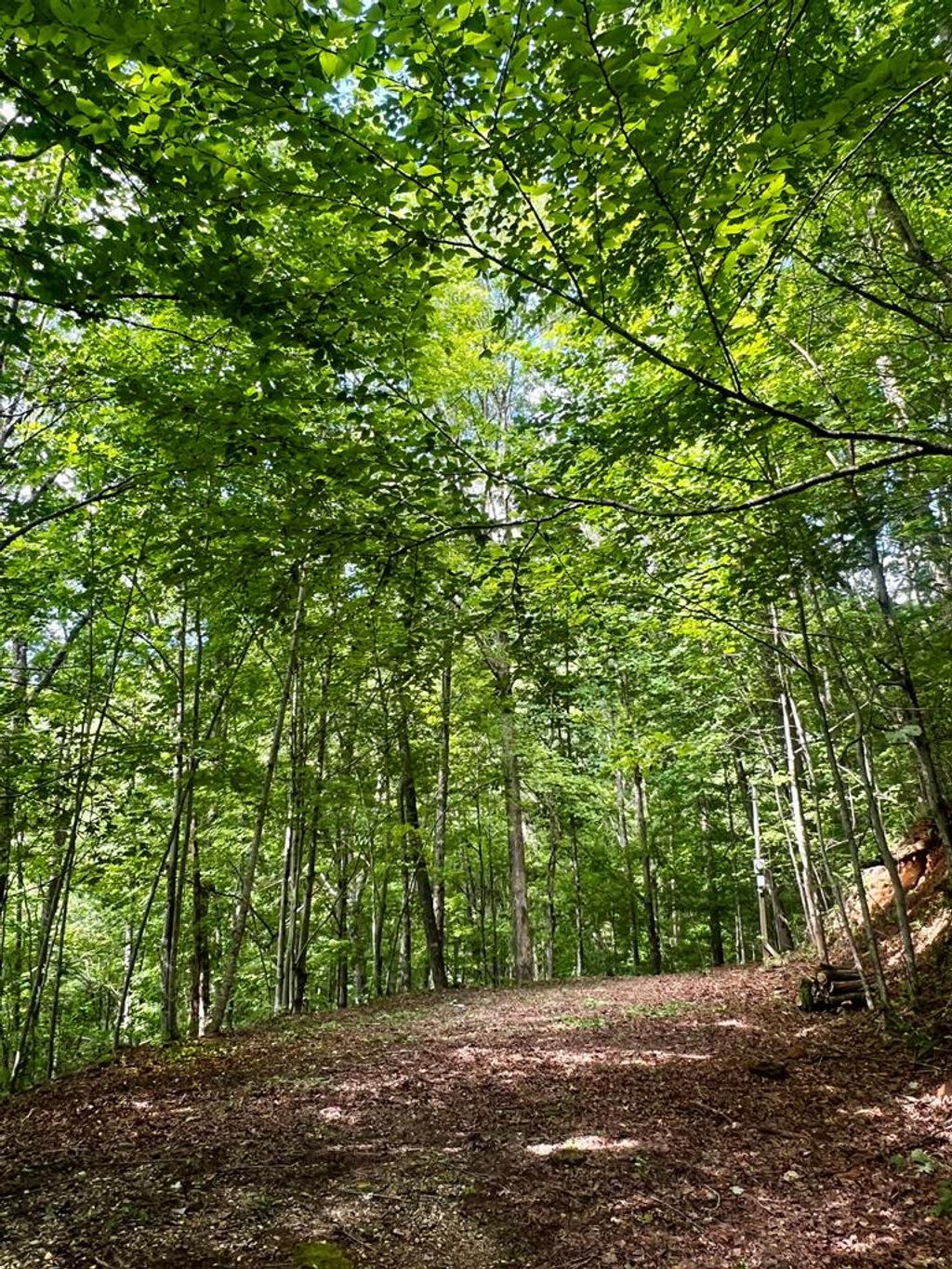 Photo of 27B Overlook Drive, Robbinsville (Graham), NC 28771 (MLS # 26045321)