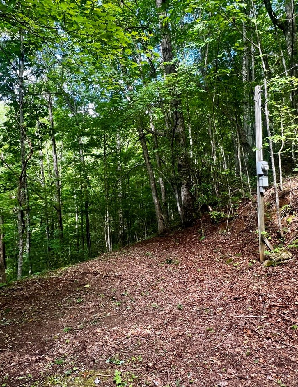 Photo of 27B Overlook Drive, Robbinsville (Graham), NC 28771 (MLS # 26045321)