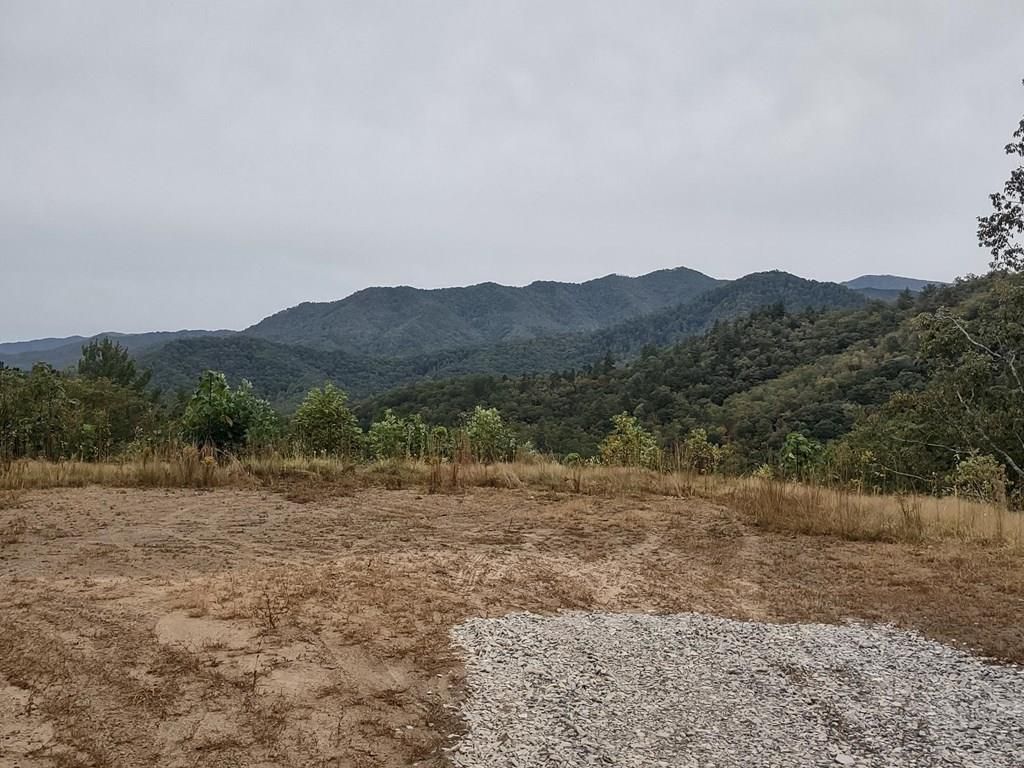 Photo of 670 Big Pine Trace, Bryson City, NC 28713 (MLS # 26035012)