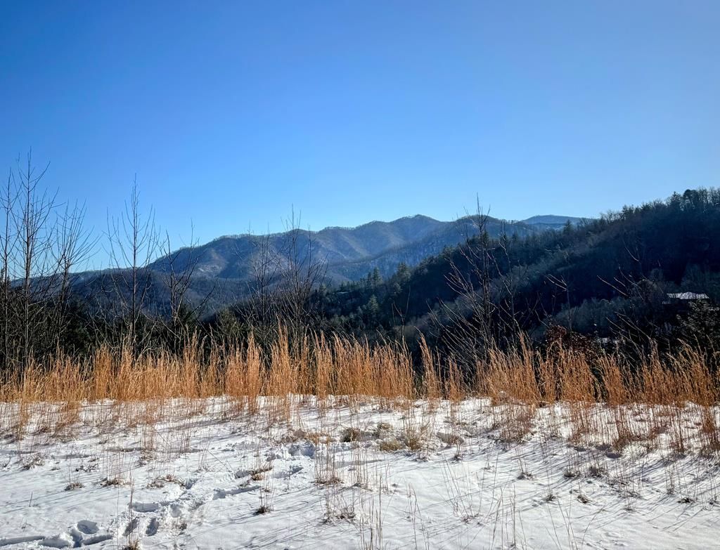 Photo of 670 Big Pine Trace, Bryson City, NC 28713 (MLS # 26035012)