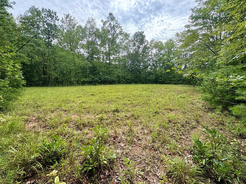 Photo of Lot 61 Glory Mountain, Bryson City, NC 28713 (MLS # 26041954)