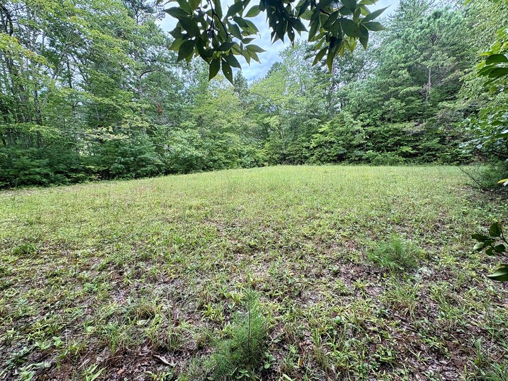 Photo of Lot 61 Glory Mountain, Bryson City, NC 28713 (MLS # 26041954)