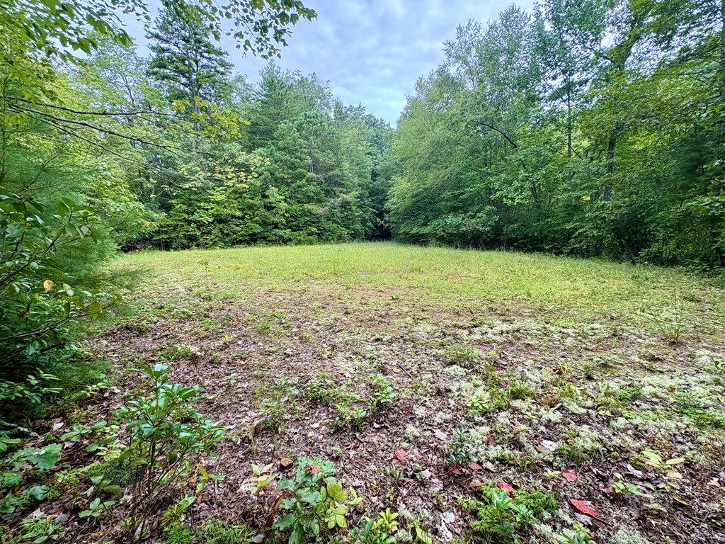 Photo of Lot 61 Glory Mountain, Bryson City, NC 28713 (MLS # 26041954)