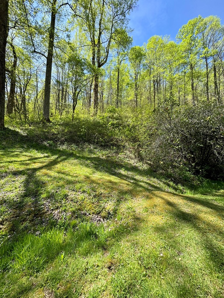 944 Jones Creeek Road