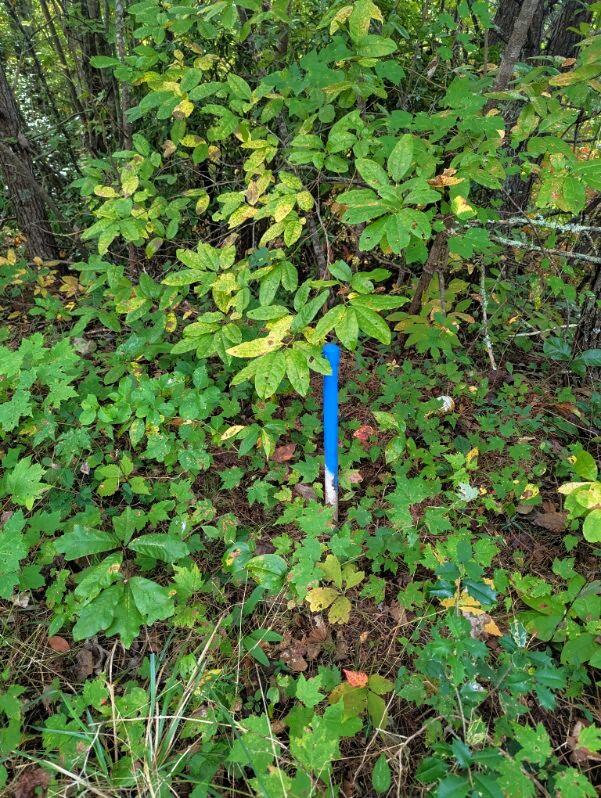 Photo of 0 E Mesa Rd, Bryson City, NC 28713 (MLS # 26048672)