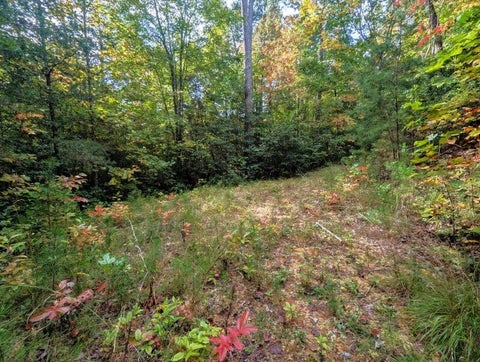 Photo of 0 E Mesa Rd, Bryson City, NC 28713 (MLS # 26048672)