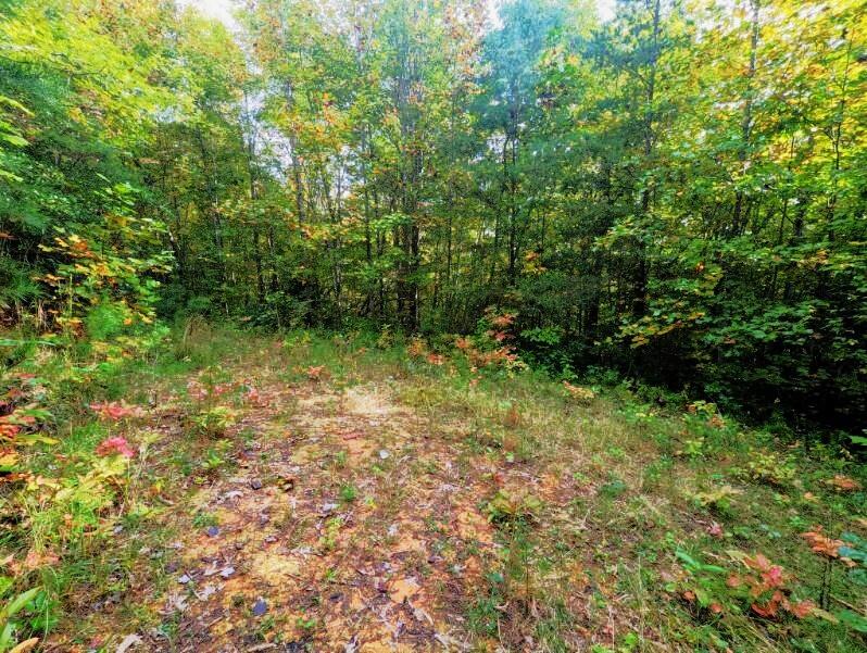 Photo of 0 E Mesa Rd, Bryson City, NC 28713 (MLS # 26048672)