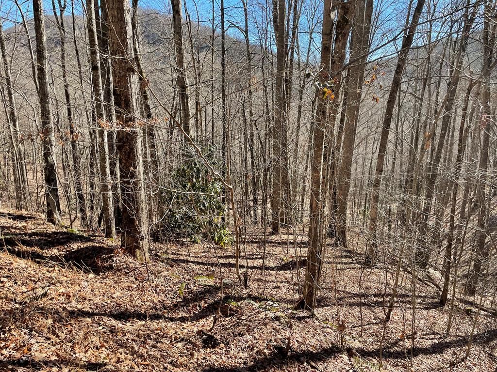 Photo of 0 Deep Gap View, Whittier, NC 28789 (MLS # 26045421)