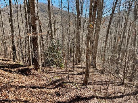 Photo of 0 Deep Gap View, Whittier, NC 28789 (MLS # 26045421)