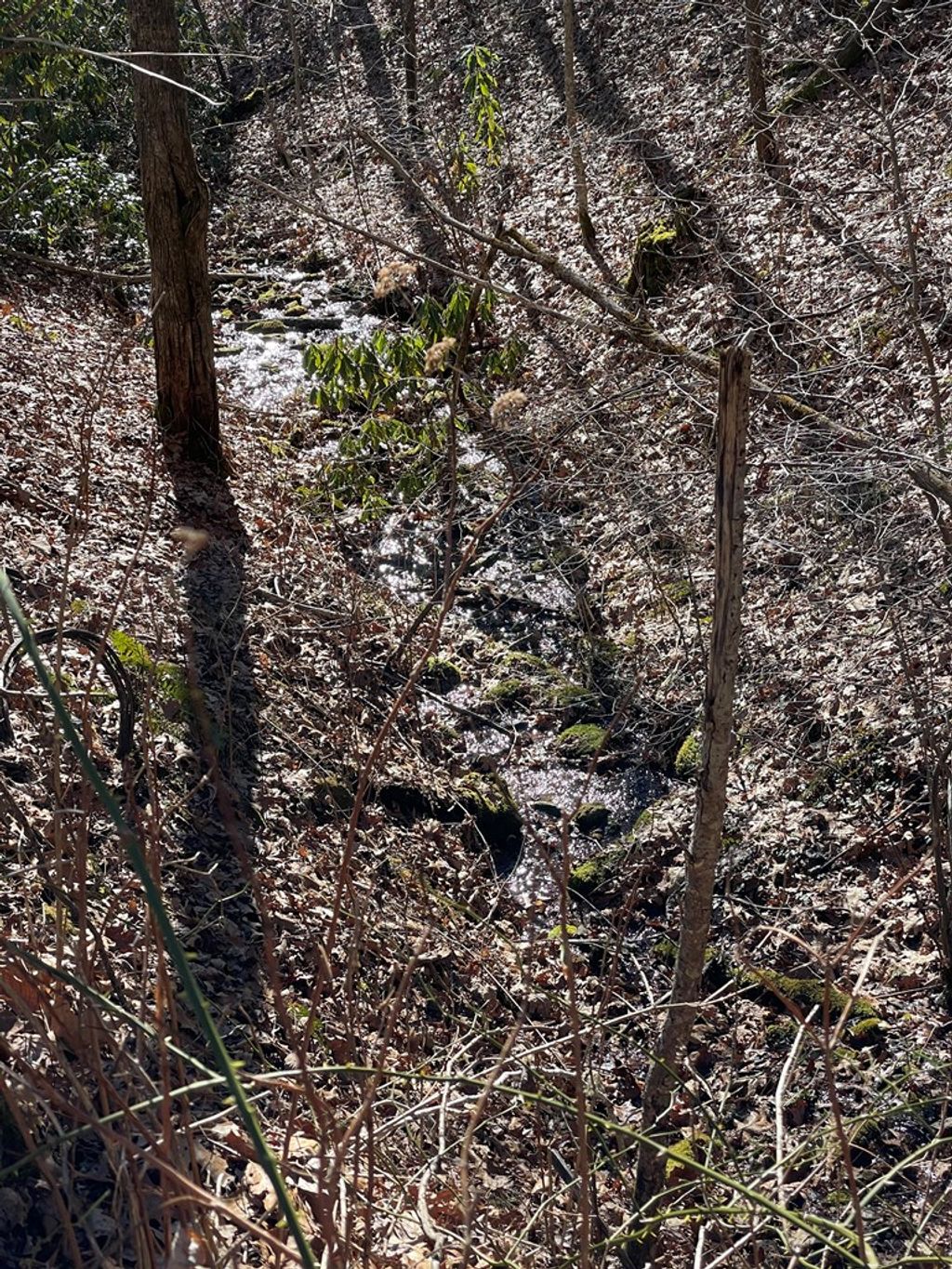 Photo of 0 Deep Gap View, Whittier, NC 28789 (MLS # 26045421)