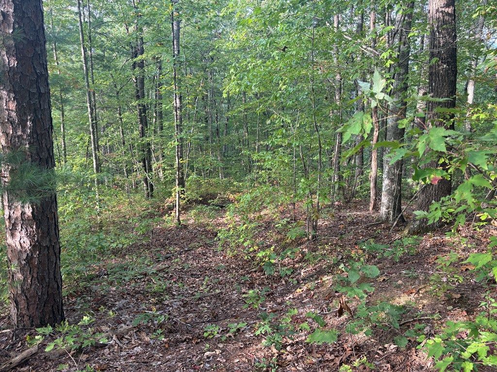 Photo of Lot 7 Madison Lane, Robbinsville (Graham), NC 28771 (MLS # 26042175)