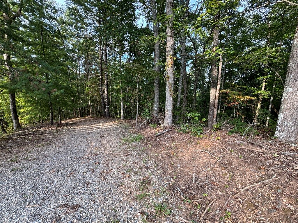 Photo of Lot 7 Madison Lane, Robbinsville (Graham), NC 28771 (MLS # 26042175)