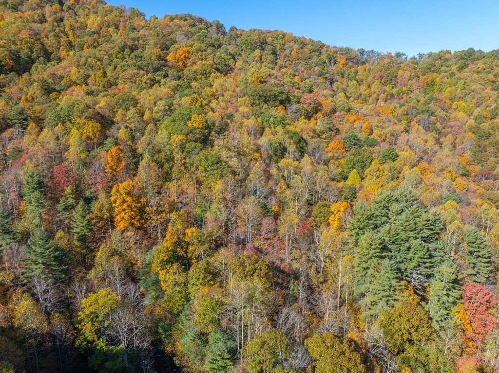 Photo of 999 Cullisia Road, Bryson City, NC 28713 (MLS # 26042709)