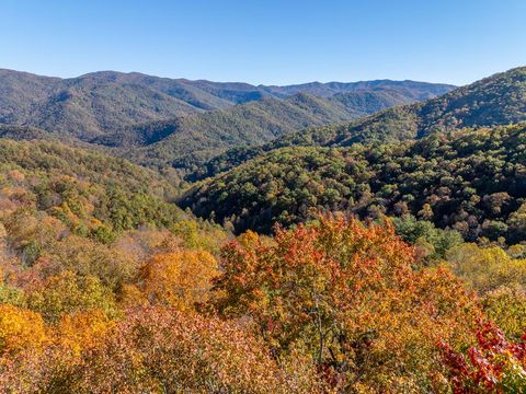 Photo of 999 Cullisia Road, Bryson City, NC 28713 (MLS # 26042709)