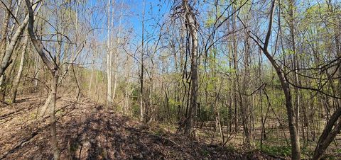 Photo of 29A Timber Estates Rd, Bryson City, NC 28713 (MLS # 26046552)