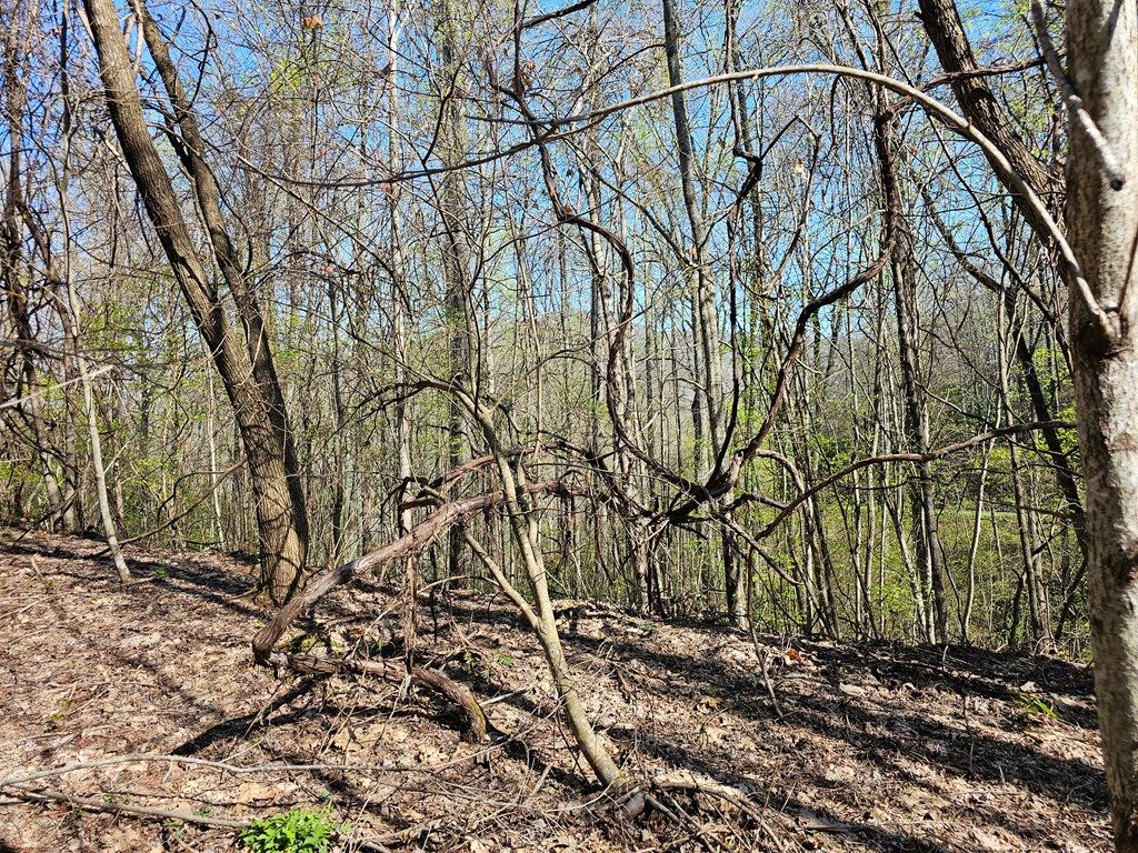 Photo of 29A Timber Estates Rd, Bryson City, NC 28713 (MLS # 26046552)