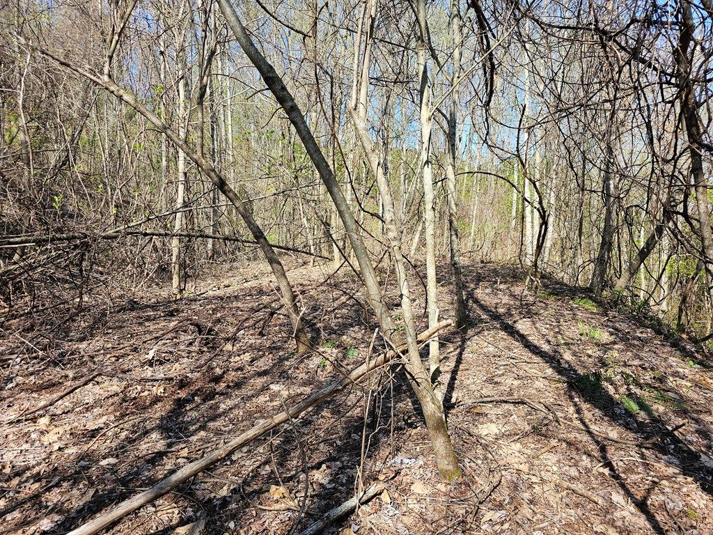 Photo of 29A Timber Estates Rd, Bryson City, NC 28713 (MLS # 26046552)