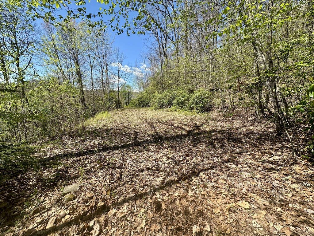 Photo of 00 Aquina Mountain, Maggie Valley, NC 28751 (MLS # 26047634)
