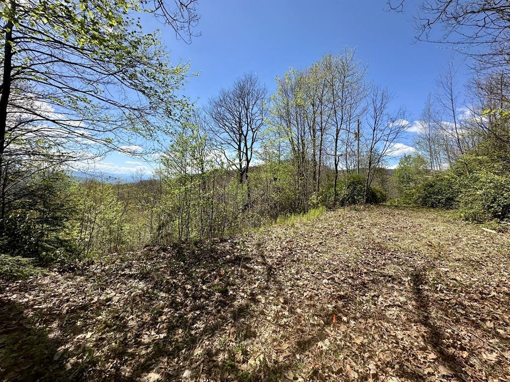 Photo of 00 Aquina Mountain, Maggie Valley, NC 28751 (MLS # 26047634)