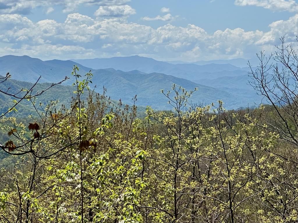 Photo of 00 Aquina Mountain, Maggie Valley, NC 28751 (MLS # 26047634)