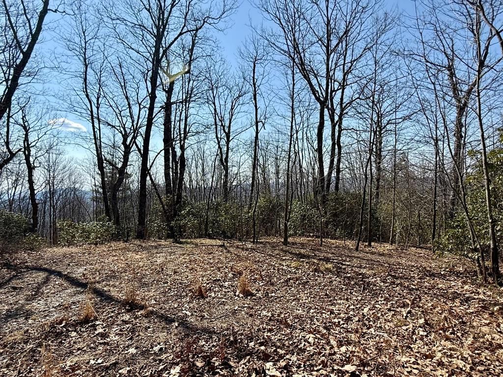 Photo of 24 Cloudview Pt, Sapphire, NC 28734 (MLS # 26046651)
