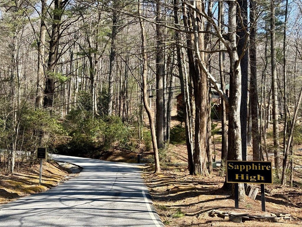 Photo of 24 Cloudview Pt, Sapphire, NC 28734 (MLS # 26046651)