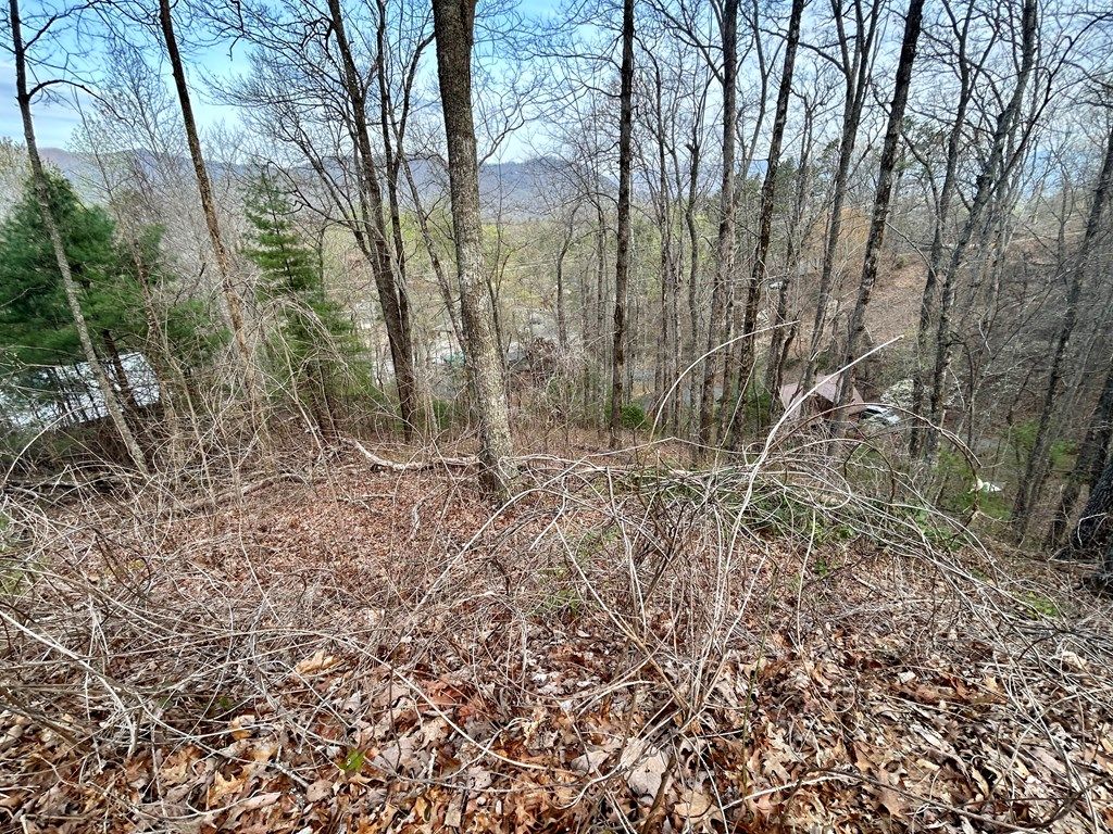 Photo of Lot 6 Biltmore Circle, Bryson City, NC 28713 (MLS # 26040667)