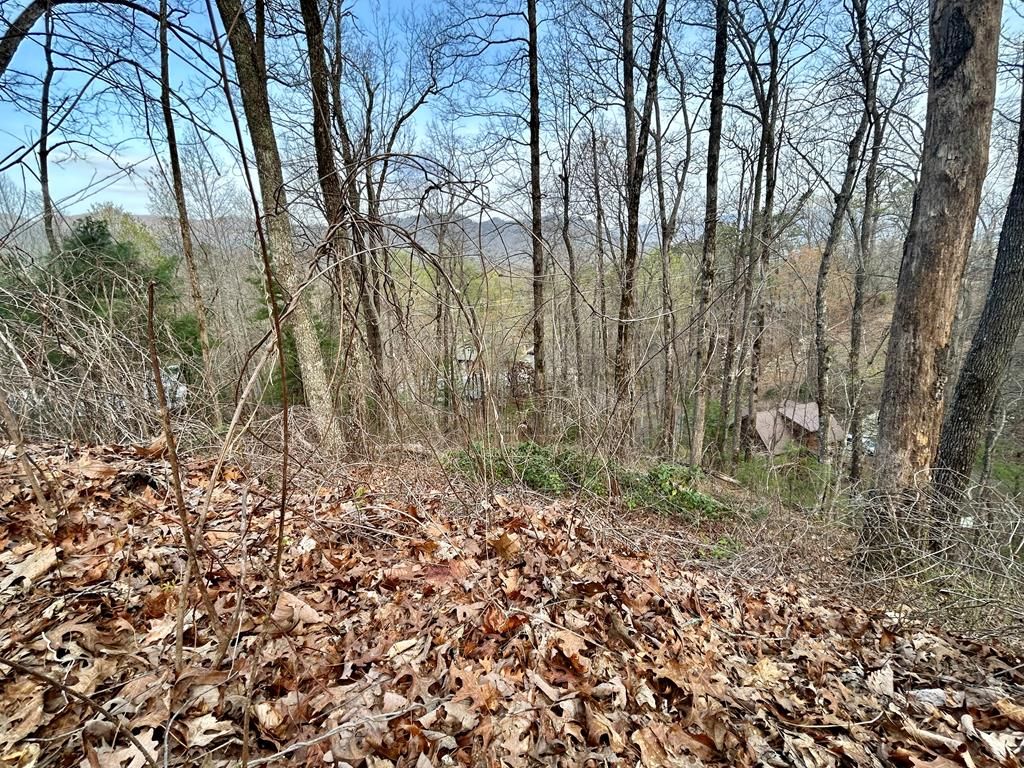 Photo of Lot 6 Biltmore Circle, Bryson City, NC 28713 (MLS # 26040667)