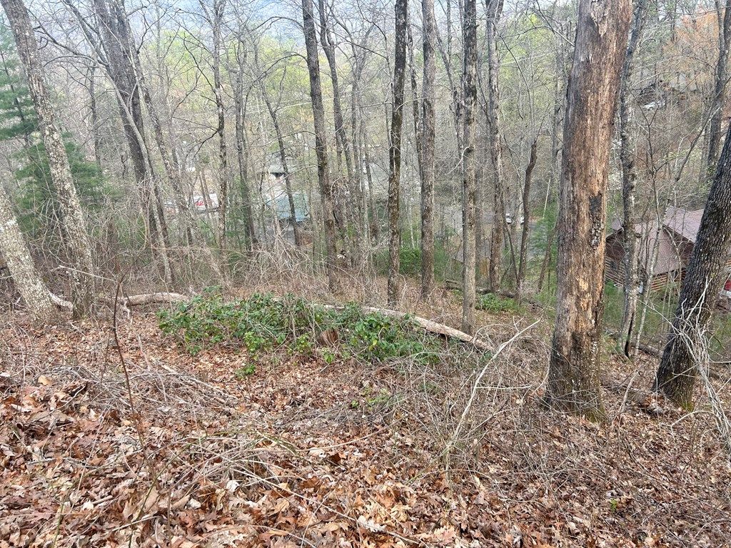 Photo of Lot 6 Biltmore Circle, Bryson City, NC 28713 (MLS # 26040667)