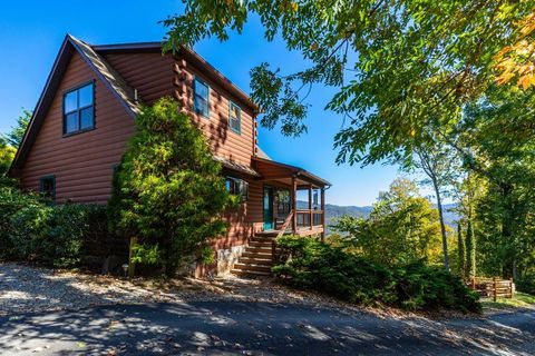 Photo of 135 West Sky Cove Circle, Bryson City, NC 28713 (MLS # 26042433)