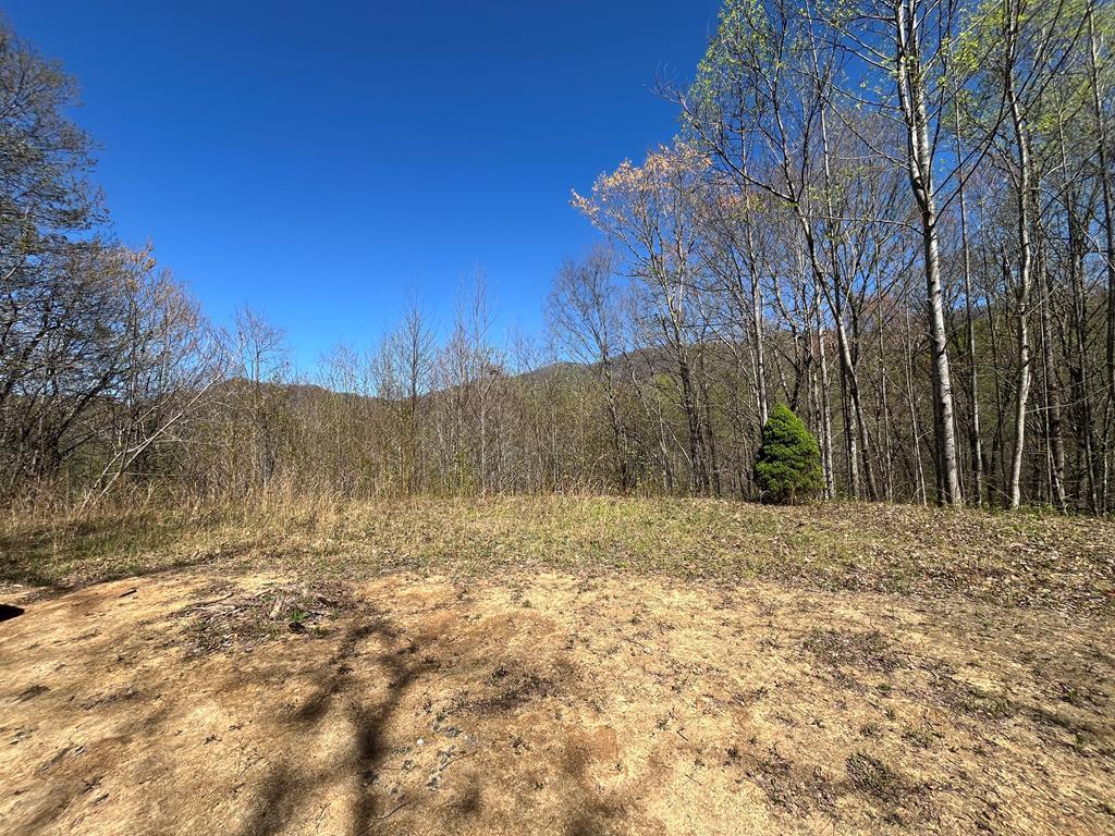 Photo of 359 Loon Lane, Whittier, NC 28789 (MLS # 26048339)