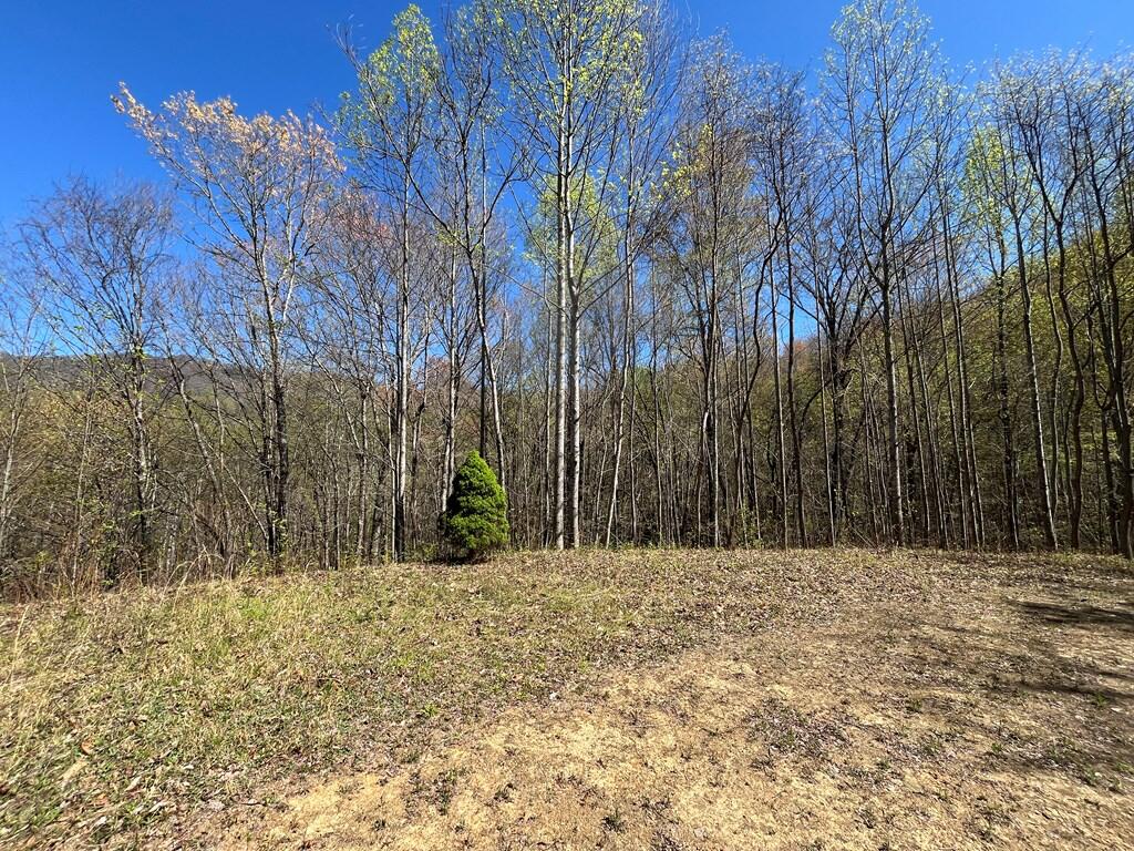 Photo of 359 Loon Lane, Whittier, NC 28789 (MLS # 26048339)