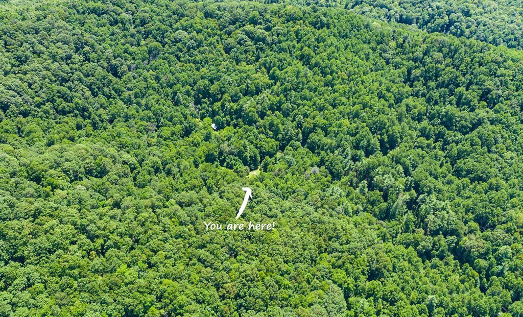 Photo of 633 Log Cabin Ln, Cullowhee, NC 28723 (MLS # 26041894)