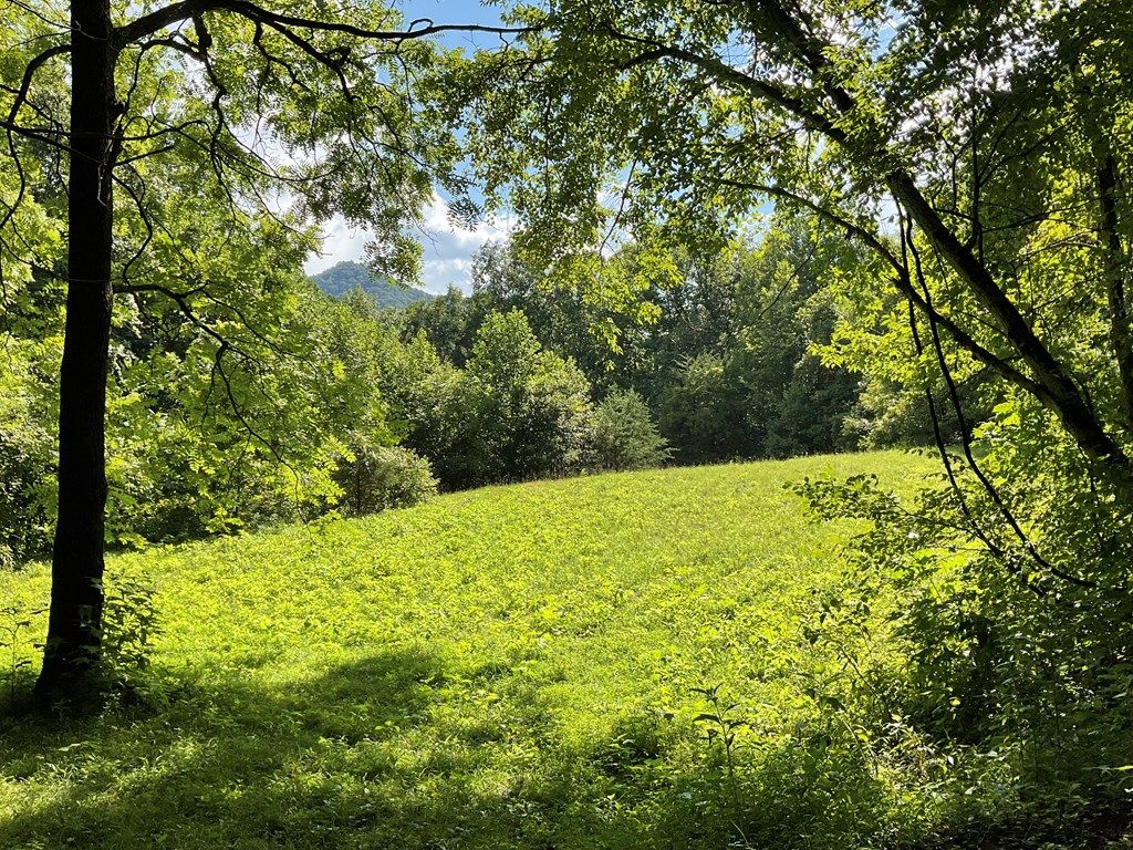 Photo of 633 Log Cabin Ln, Cullowhee, NC 28723 (MLS # 26041894)