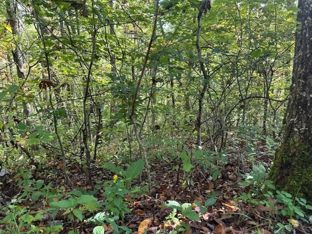 Photo of H16-H17 Shady Grove Road, Tuckasegee, NC 28783 (MLS # 26042296)