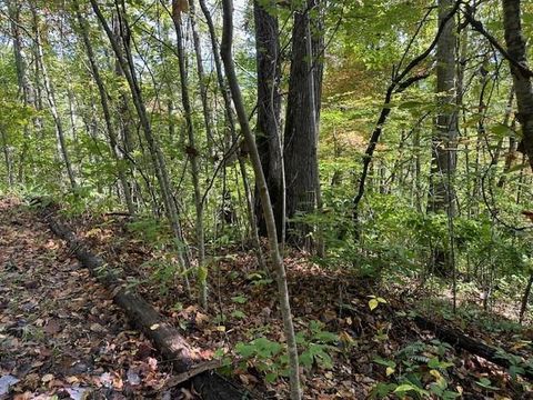 Photo of H16-H17 Shady Grove Road, Tuckasegee, NC 28783 (MLS # 26042296)