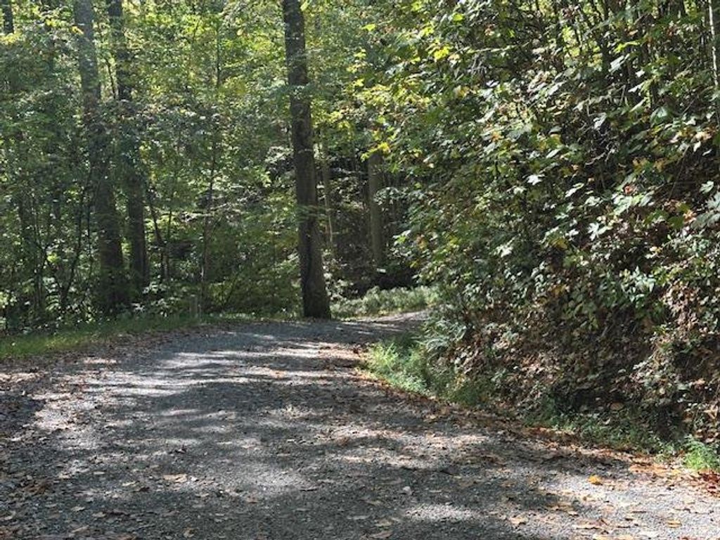 Photo of H16-H17 Shady Grove Road, Tuckasegee, NC 28783 (MLS # 26042296)