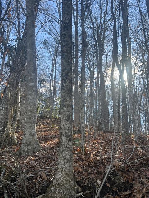 Photo of Lot 18 Mt Mariah, Topton, NC 28781 (MLS # 26042896)