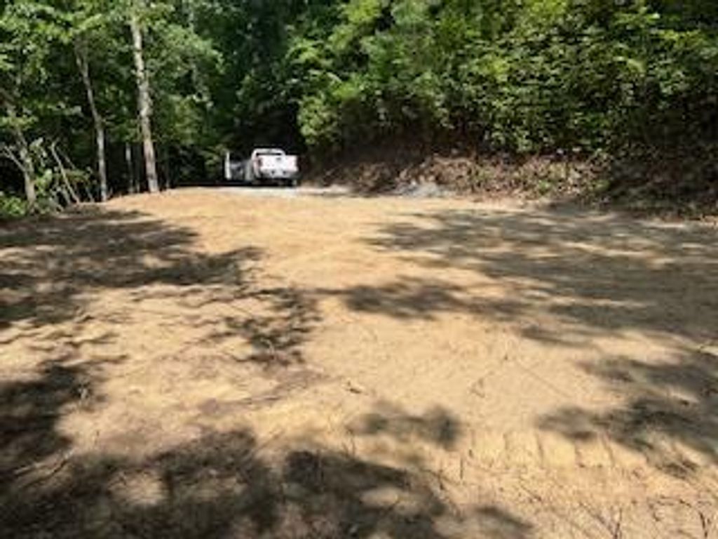 Photo of 0 49 &amp; 50 Houston Farm Rd, Bryson City, NC 28713 (MLS # 26037401)