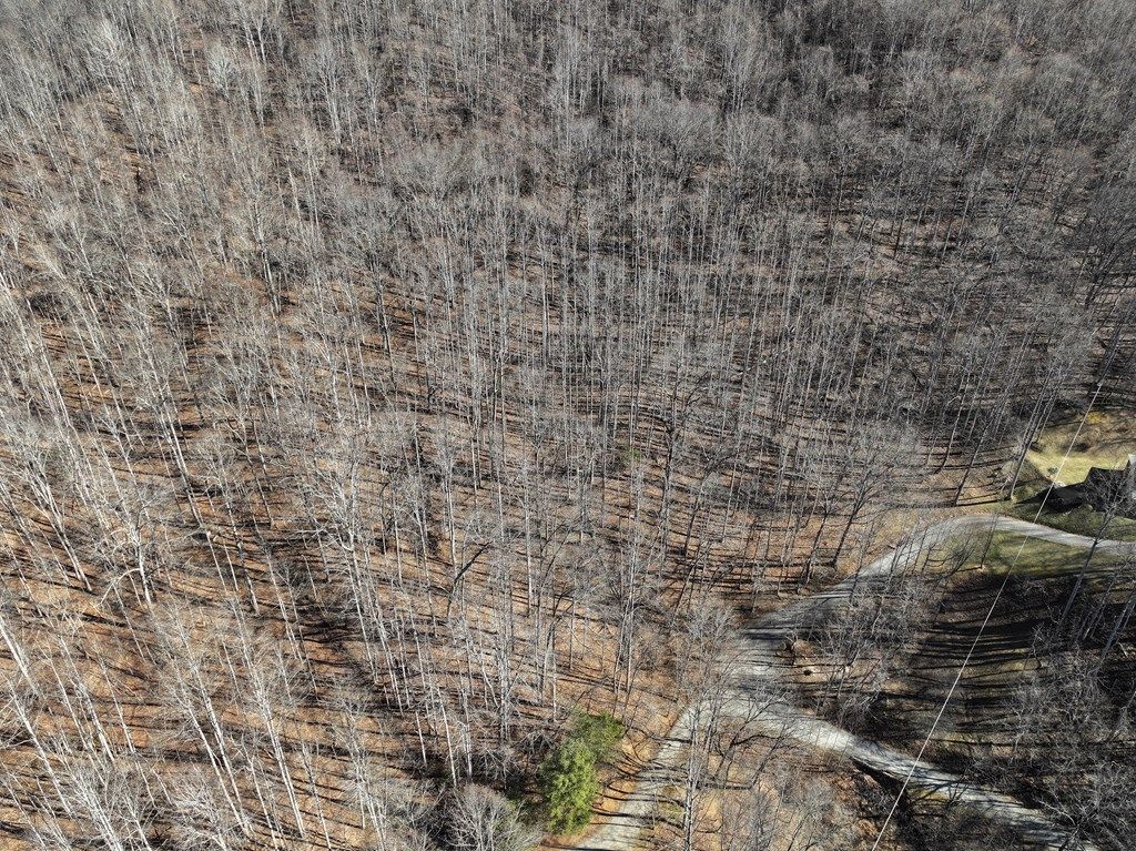 Photo of 0 Lot 22 Top Drop Lane, Sylva, NC 28779 (MLS # 26043138)