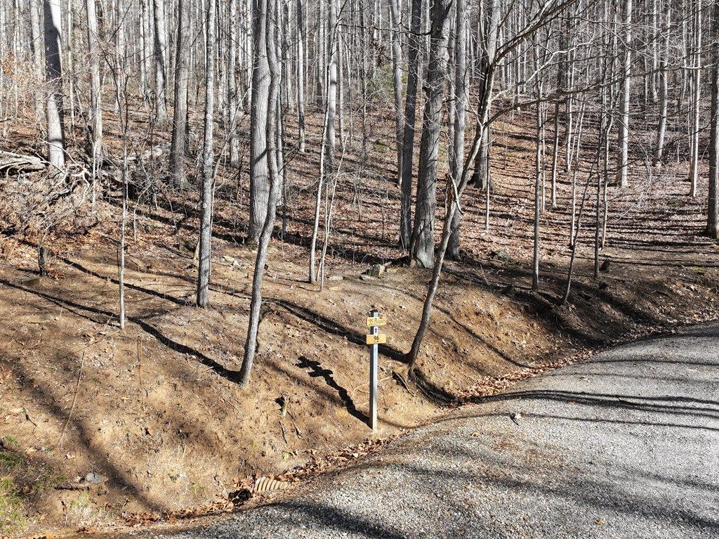 Photo of 0 Lot 22 Top Drop Lane, Sylva, NC 28779 (MLS # 26043138)