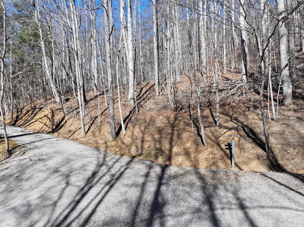 Photo of 0 Lot 22 Top Drop Lane, Sylva, NC 28779 (MLS # 26043138)