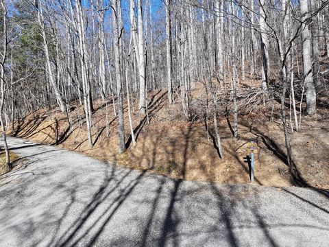 Photo of 0 Lot 22 Top Drop Lane, Sylva, NC 28779 (MLS # 26043138)