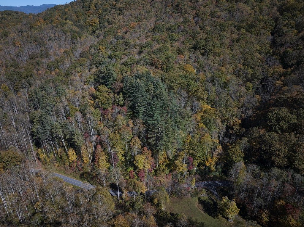 Photo of 0 Treehouse Rd, Whittier, NC 28789 (MLS # 26042720)