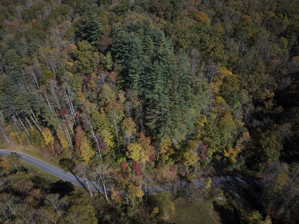 Photo of 0 Treehouse Rd, Whittier, NC 28789 (MLS # 26042720)