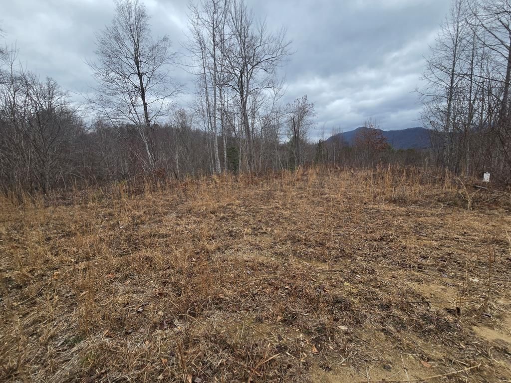 Photo of 138 Fairlane Loop, Whittier, NC 28789 (MLS # 26043075)