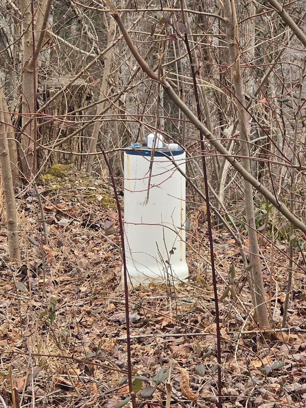 Photo of 138 Fairlane Loop, Whittier, NC 28789 (MLS # 26043075)